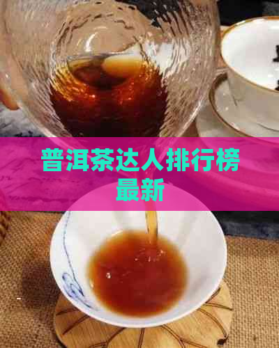 普洱茶达人排行榜最新