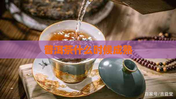 普洱茶什么时候成熟