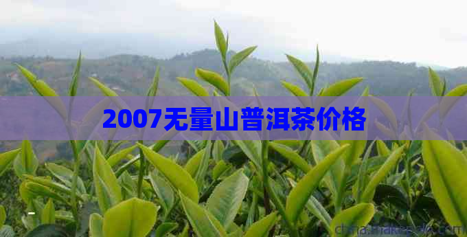 2007无量山普洱茶价格