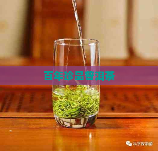 百年珍品普洱茶