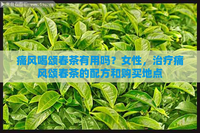 痛风喝颂春茶有用吗？女性，治疗痛风颂春茶的配方和购买地点