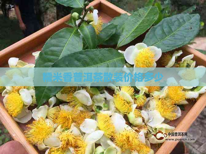 糯米香普洱茶散装价格多少