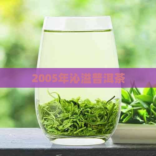 2005年沁溢普洱茶