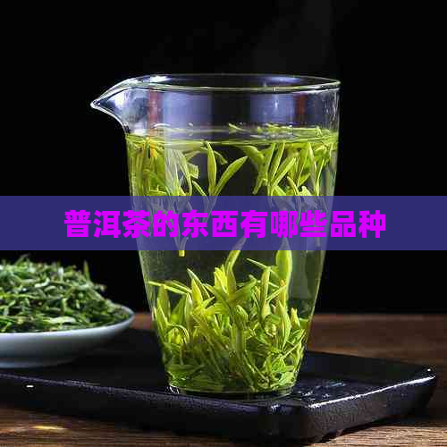 普洱茶的东西有哪些品种