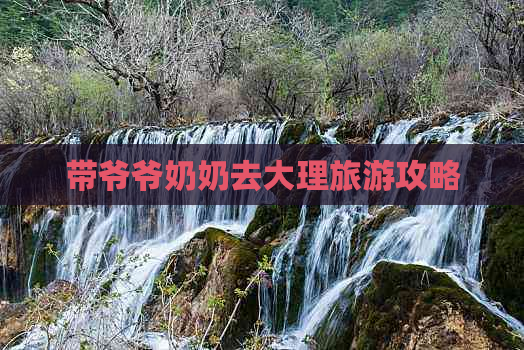 带爷爷奶奶去大理旅游攻略