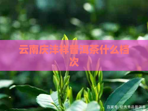 云南庆沣祥普洱茶什么档次