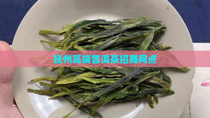 抚州高端普洱茶招商网点