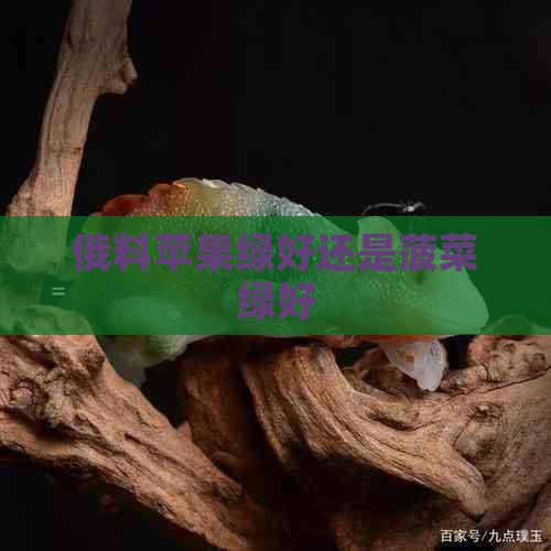 俄料苹果绿好还是菠菜绿好