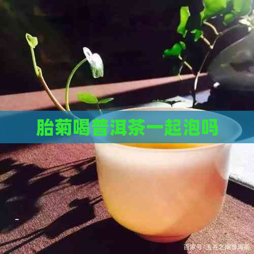 胎菊喝普洱茶一起泡吗