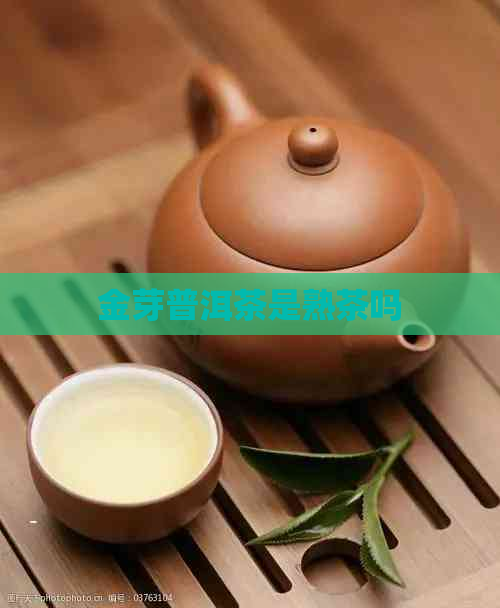 金芽普洱茶是熟茶吗