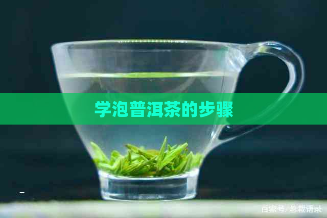 学泡普洱茶的步骤