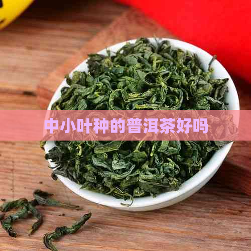 中小叶种的普洱茶好吗