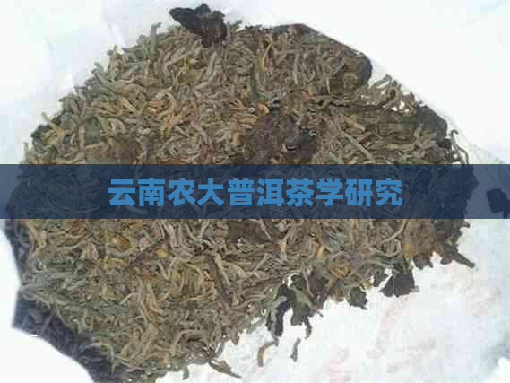 云南农大普洱茶学研究