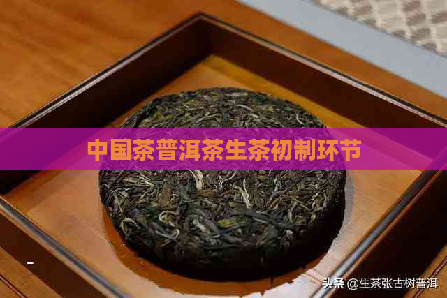 中国茶普洱茶生茶初制环节