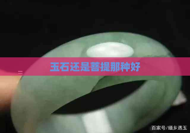 玉石还是菩提那种好