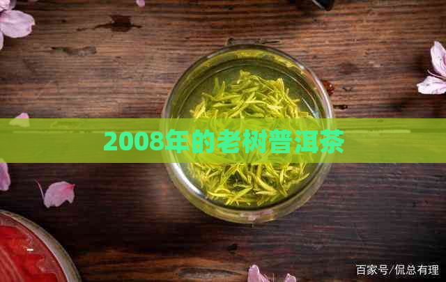 2008年的老树普洱茶