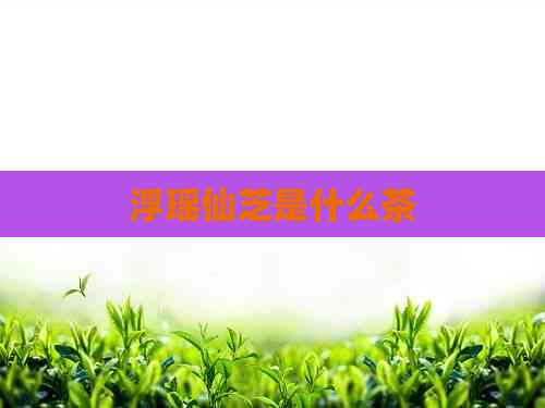 浮瑶仙芝是什么茶