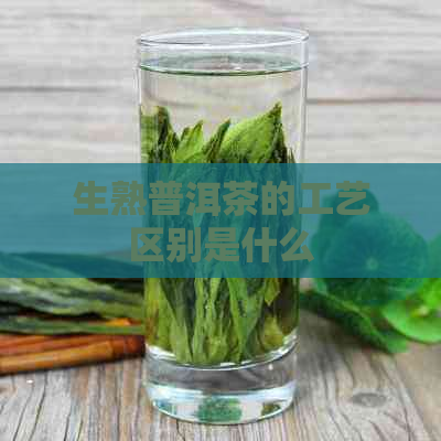 生熟普洱茶的工艺区别是什么