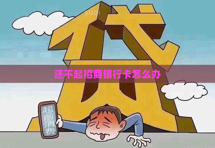 还不起招商银行卡怎么办