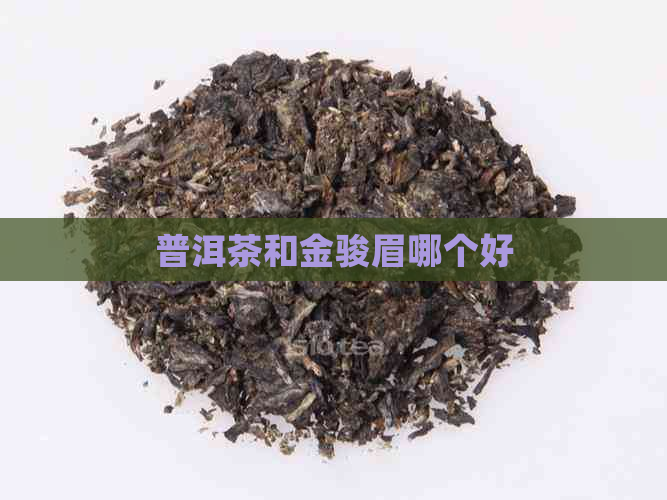 普洱茶和金骏眉哪个好