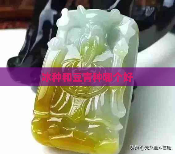 冰种和豆青种哪个好