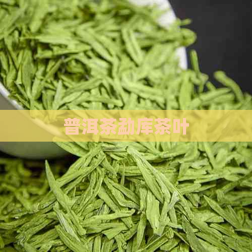 普洱茶勐库茶叶