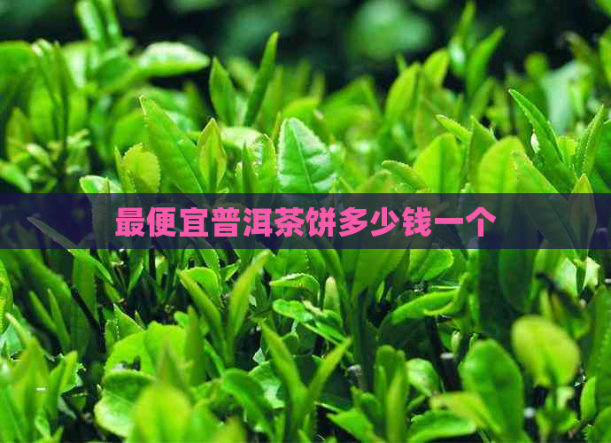 更便宜普洱茶饼多少钱一个