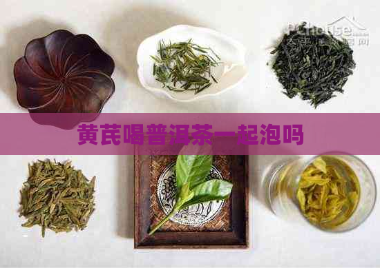 黄芪喝普洱茶一起泡吗