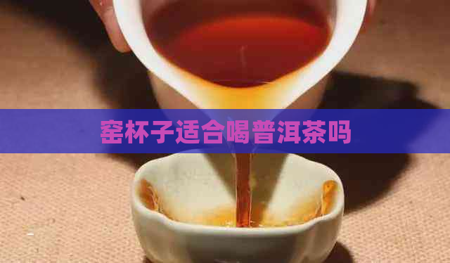 窑杯子适合喝普洱茶吗