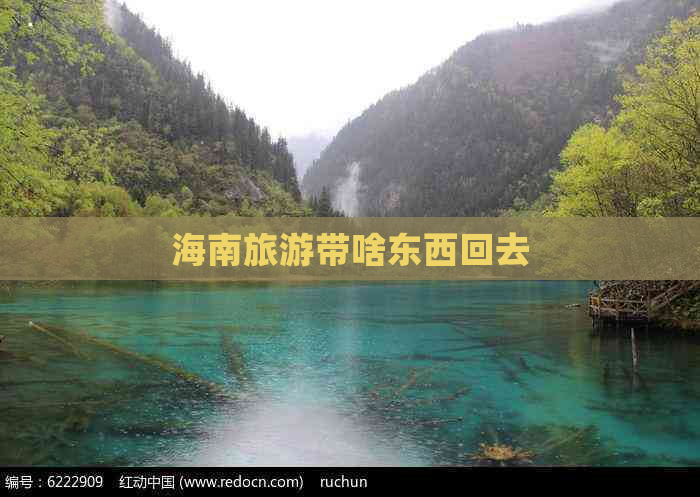 海南旅游带啥东西回去