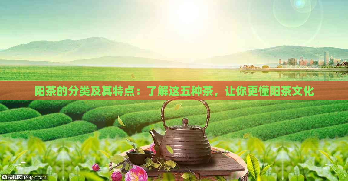 阳茶的分类及其特点：了解这五种茶，让你更懂阳茶文化