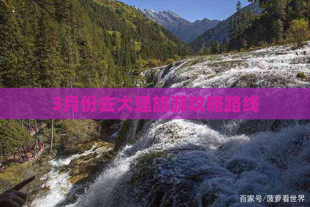 3月份去大理旅游攻略路线