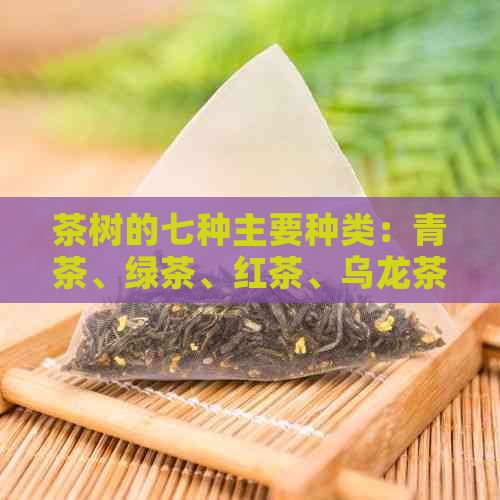 茶树的七种主要种类：青茶、绿茶、红茶、乌龙茶、白茶、黄茶和黑茶。