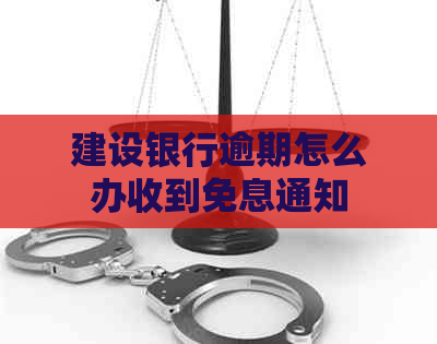 建设银行逾期怎么办收到免息通知