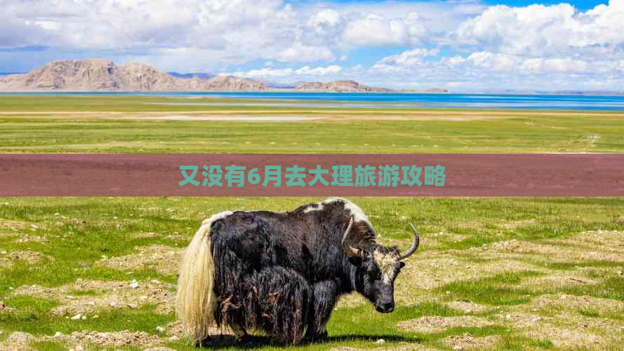 又没有6月去大理旅游攻略