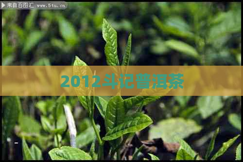 2012斗记普洱茶