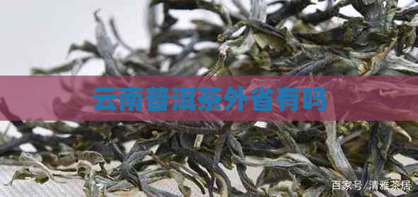 云南普洱茶外省有吗