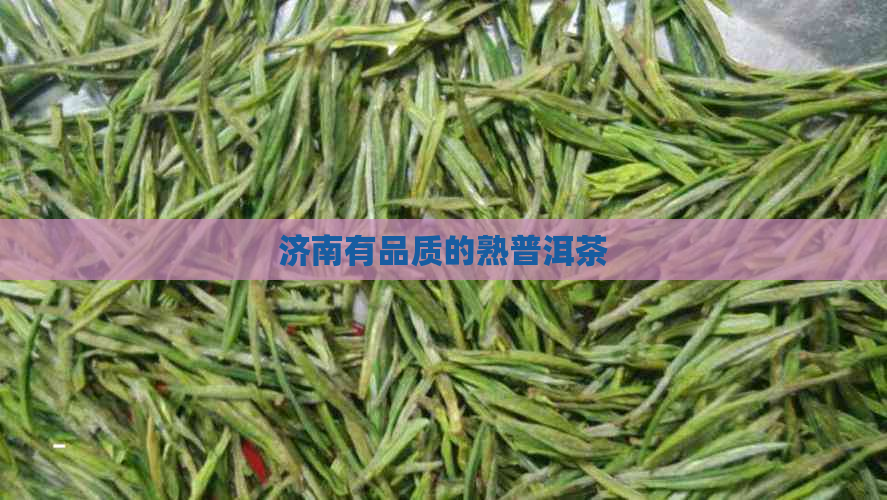 济南有品质的熟普洱茶