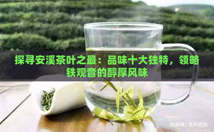 探寻安溪茶叶之最：品味十大独特，领略铁观音的醇厚风味