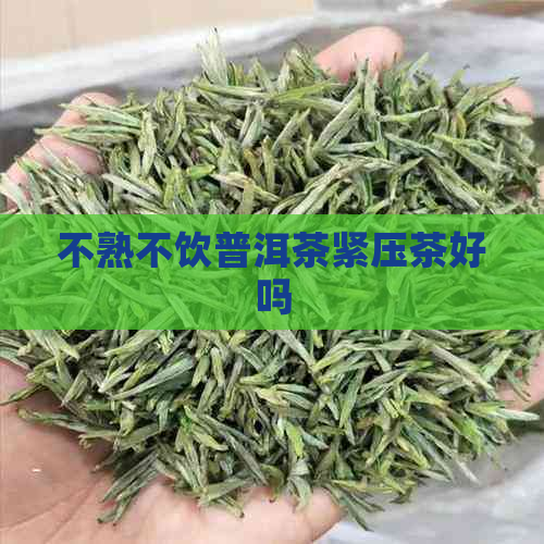 不熟不饮普洱茶紧压茶好吗