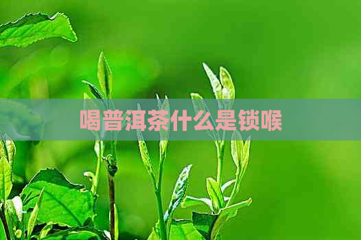 喝普洱茶什么是锁喉