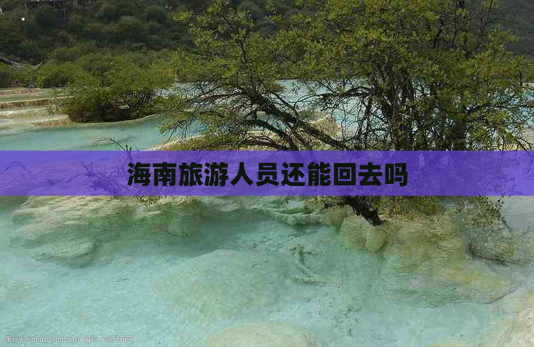 海南旅游人员还能回去吗