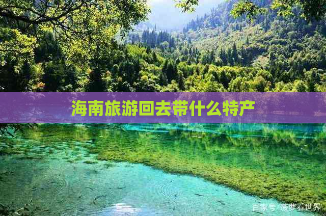 海南旅游回去带什么特产