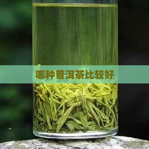 哪种普洱茶比较好