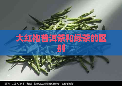 大红袍普洱茶和绿茶的区别