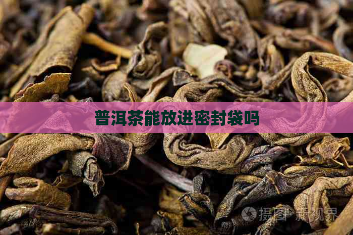 普洱茶能放进密封袋吗