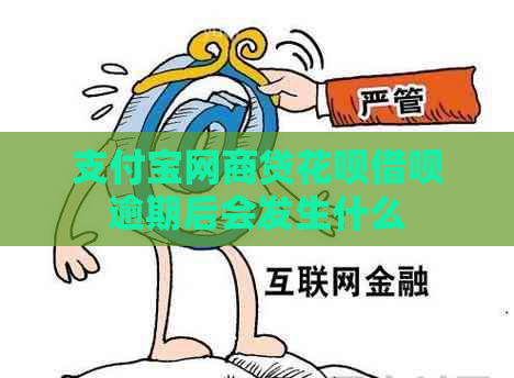 支付宝网商贷花呗借呗逾期后会发生什么