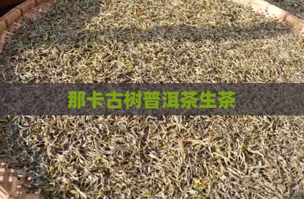 那卡古树普洱茶生茶