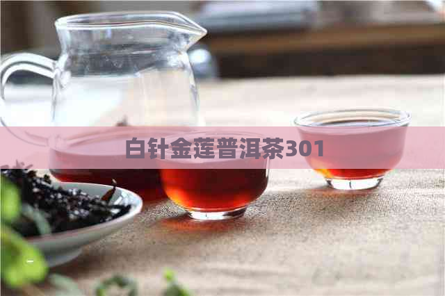 白针金莲普洱茶301