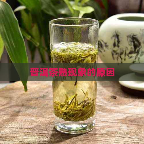 普洱茶熟现象的原因